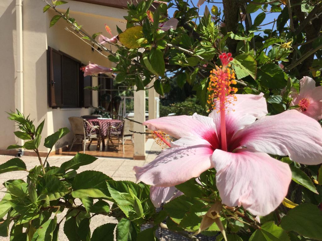 Villa Ro Porto Columbu - Perd'E Sali Buitenkant foto