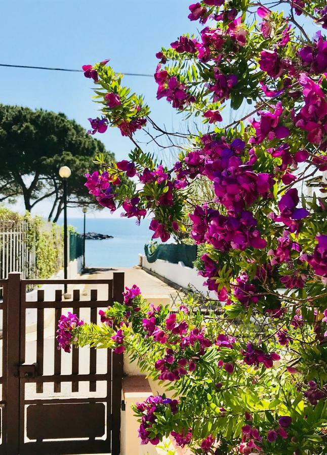 Villa Ro Porto Columbu - Perd'E Sali Buitenkant foto